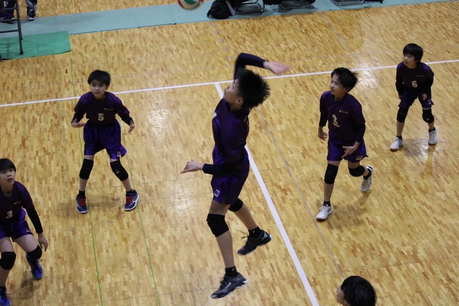 セカンドキャリア　バレーボール選手